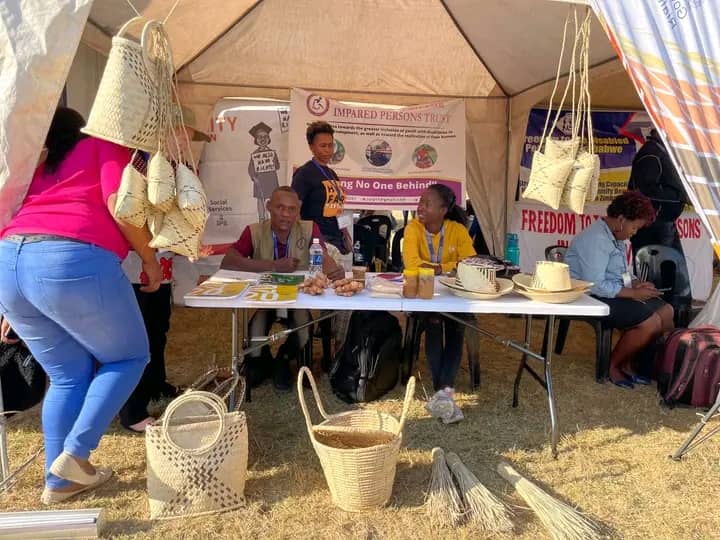 Illustration of ZYIPT's impact